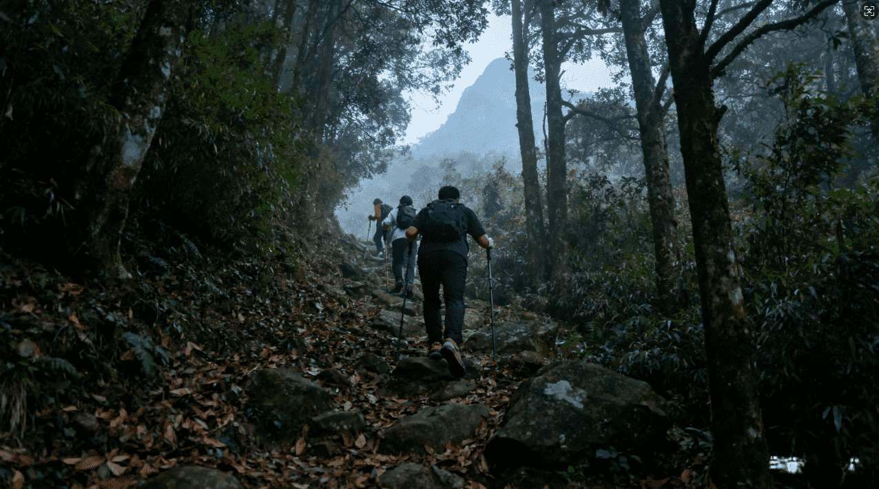 探索泰坦加速器VPN官网的常见问题解答